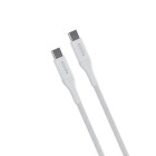 30568-epi-ph-ca30-01